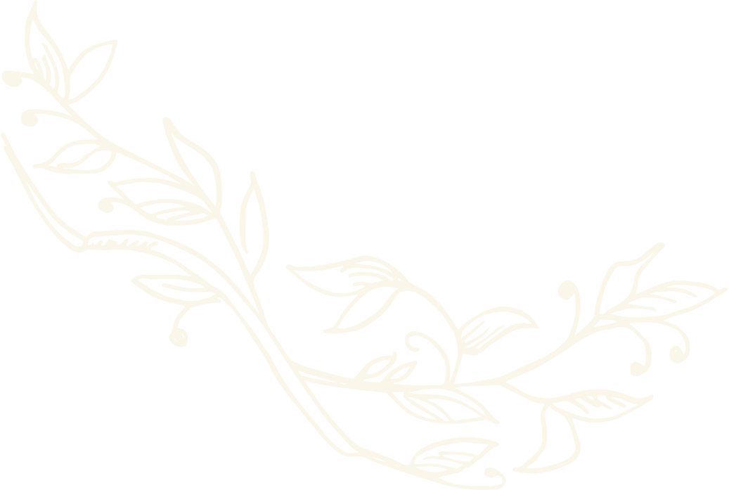 Вектор